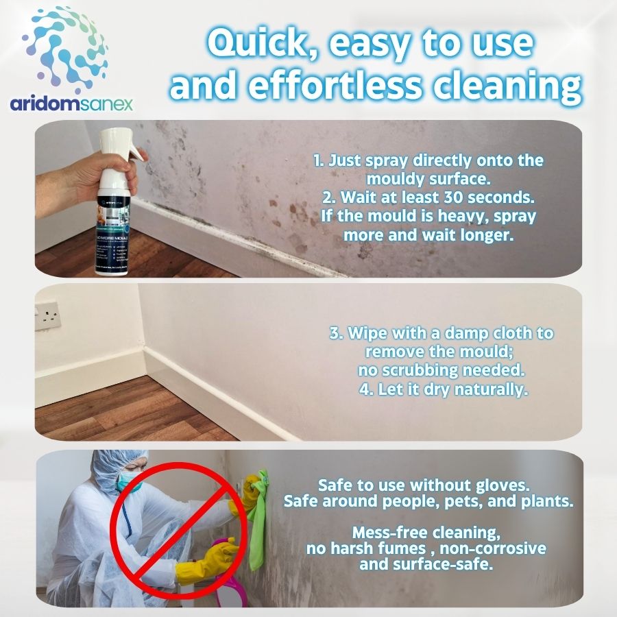 No More Mould – Fast-Acting Mould Remover Spray